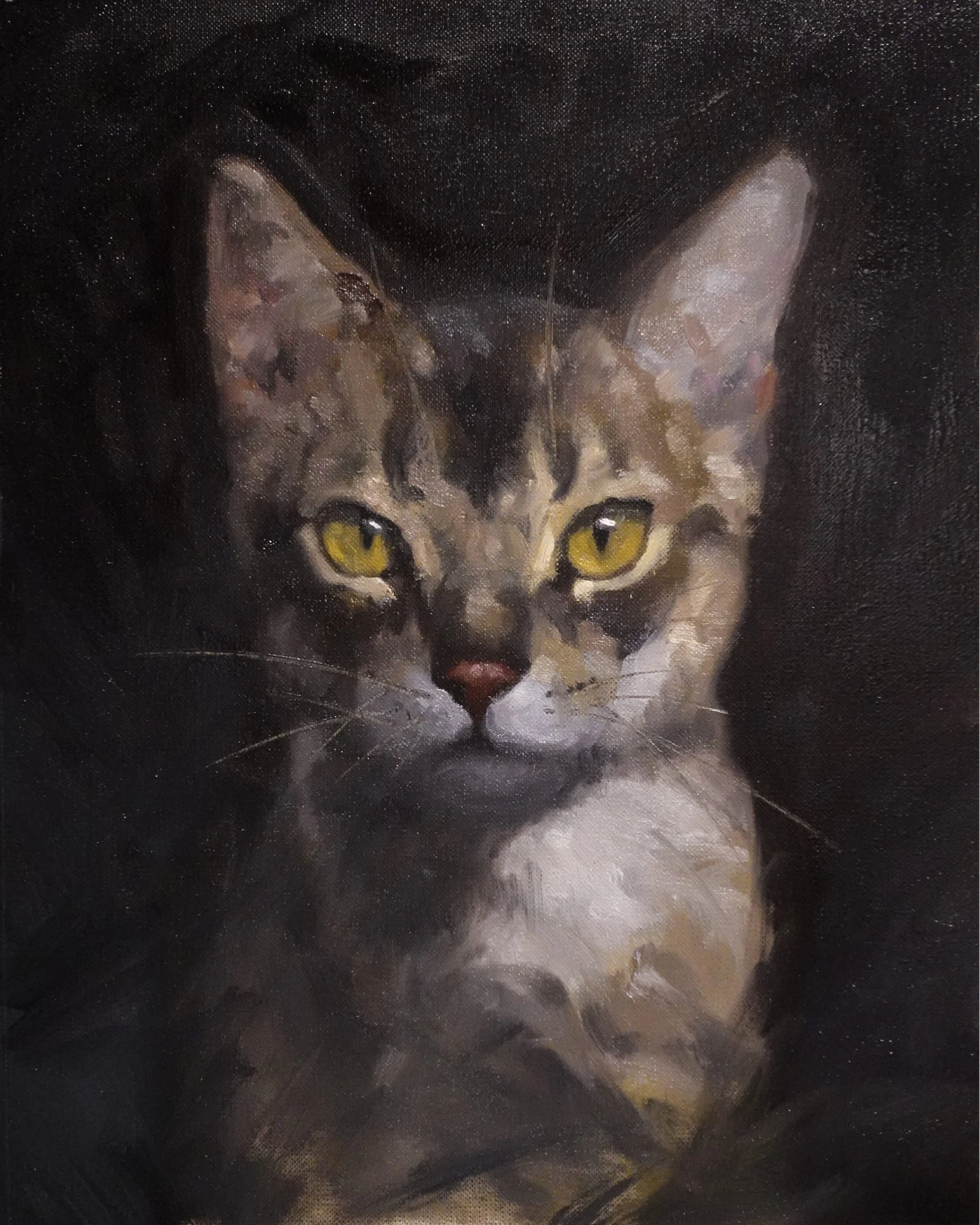 EL cat oil 01 24x32 1