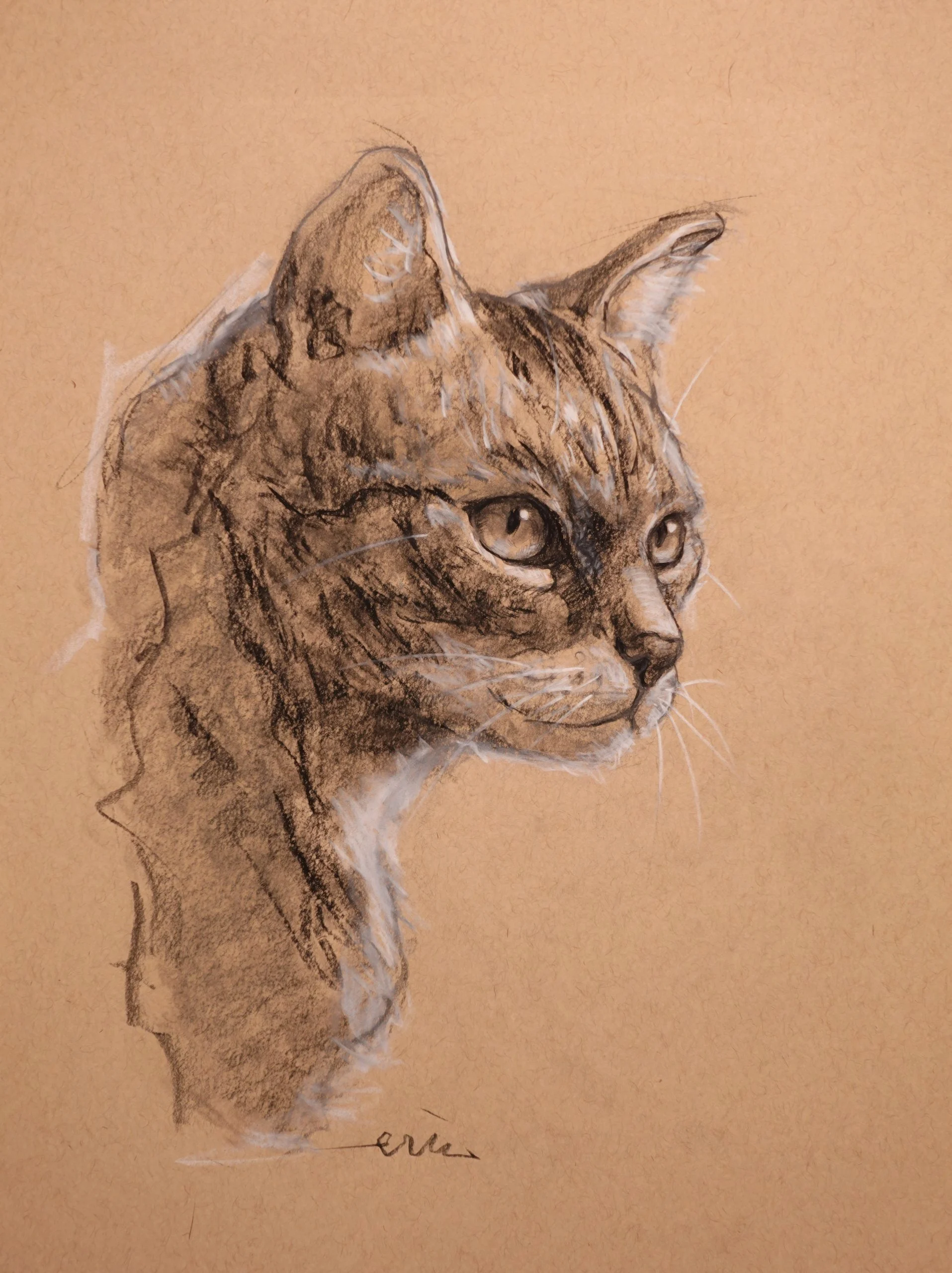 Drawing 18